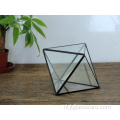 Handgemaakte hoge kwaliteit geometrische terrarium glazen container